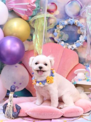 20240825マルちゃん